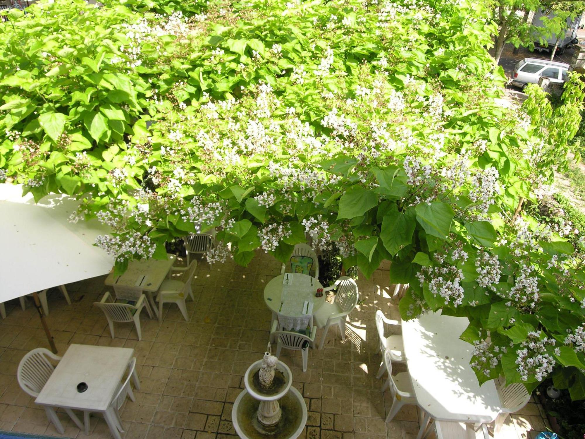 Appart'Hotel Les Tilleuls Saint-Macaire Zewnętrze zdjęcie